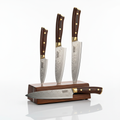 Professional Chef's Knife Set